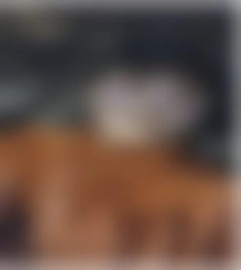j*******8