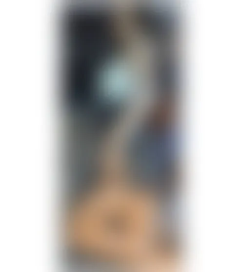 a***********s