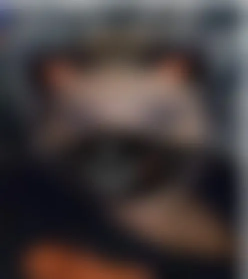 J********t