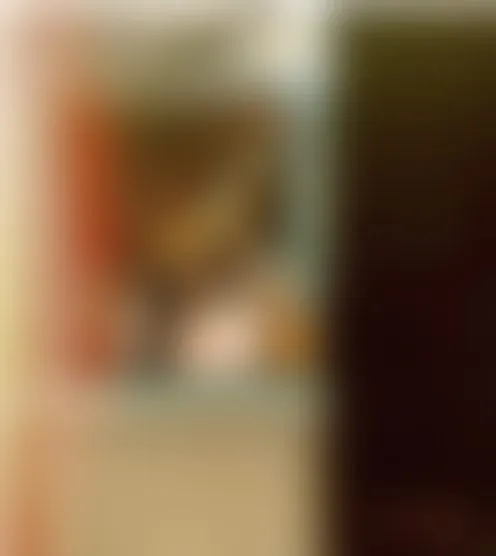 L**********2