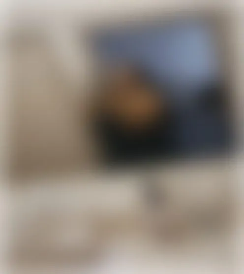 s****y