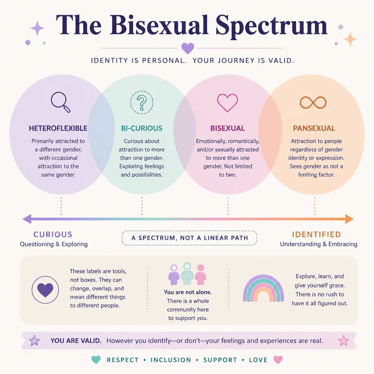 Infographic chart showing the spectrum of bisexual identity from curious to identified, with overlapping circles representing different labels