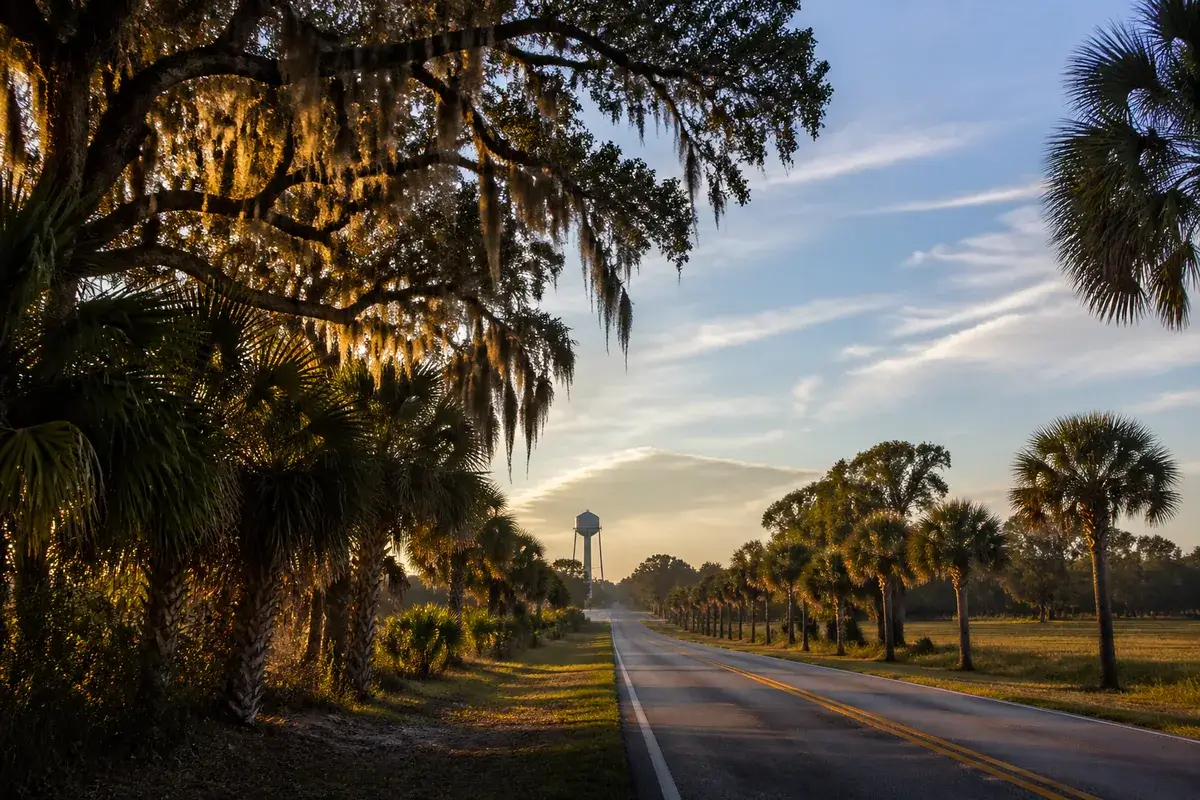 Gaston-02-cityscape in Gaston, South Carolina
