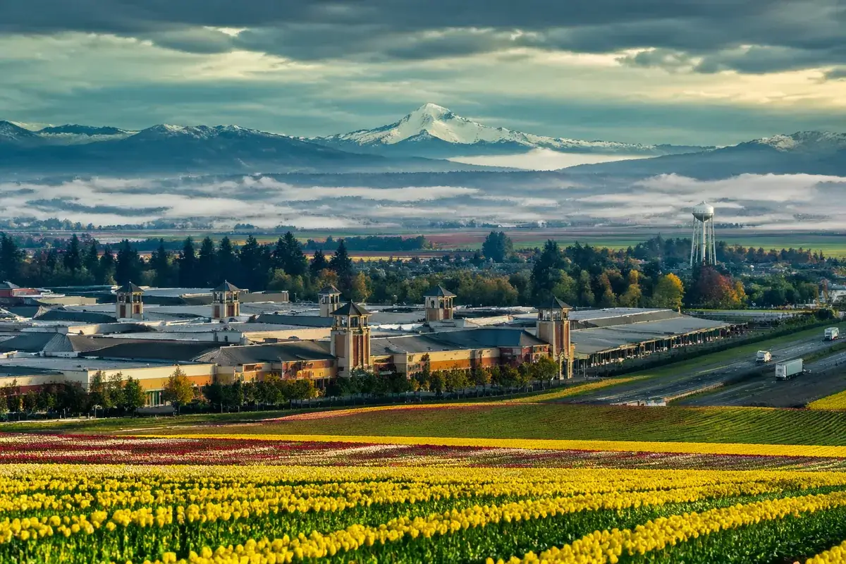 Woodburn-02-cityscape in Woodburn, Oregon