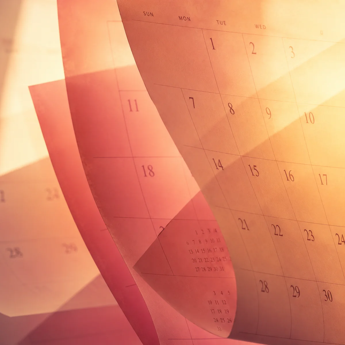 Warm amber and rose duotone of overlapping translucent calendar pages suggesting multiple relationship commitments in ENM